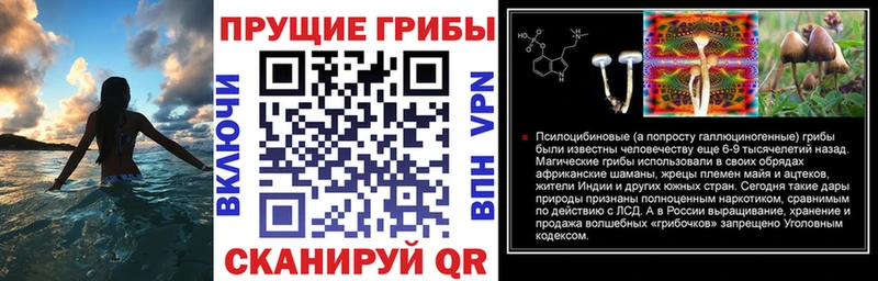 Псилоцибиновые грибы мухоморы  Макаров 